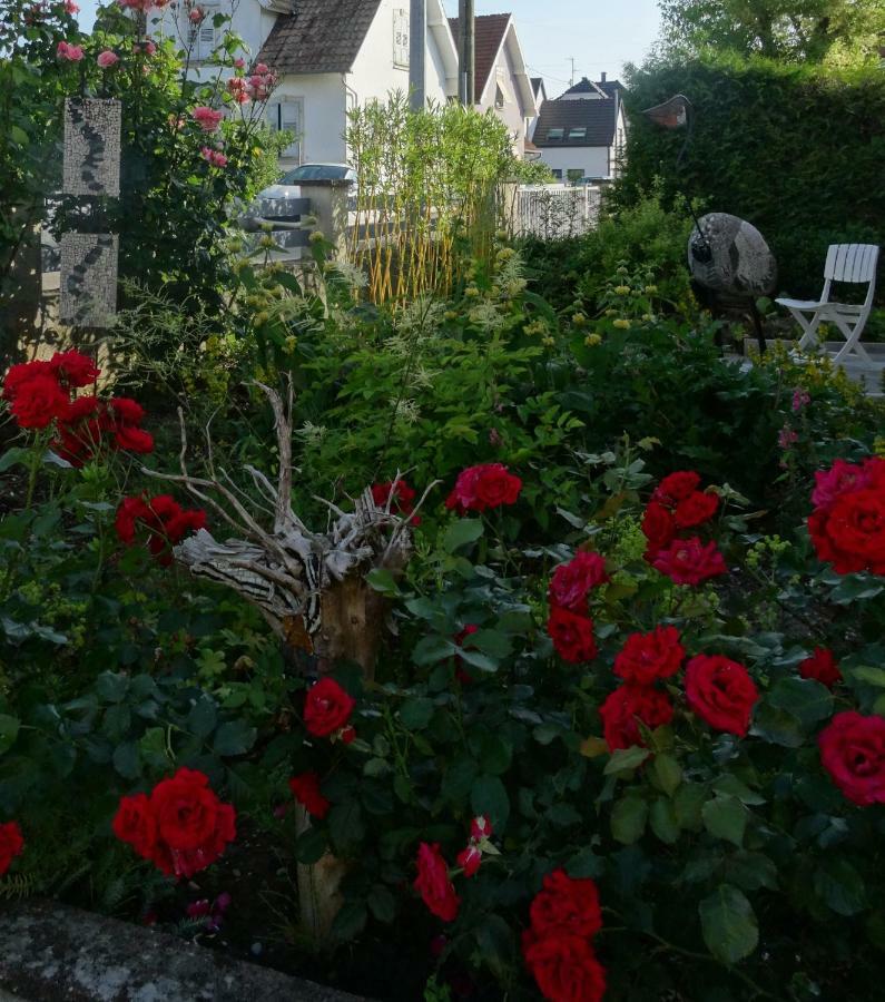 Gite Du Heron La Wantzenau Exterior photo