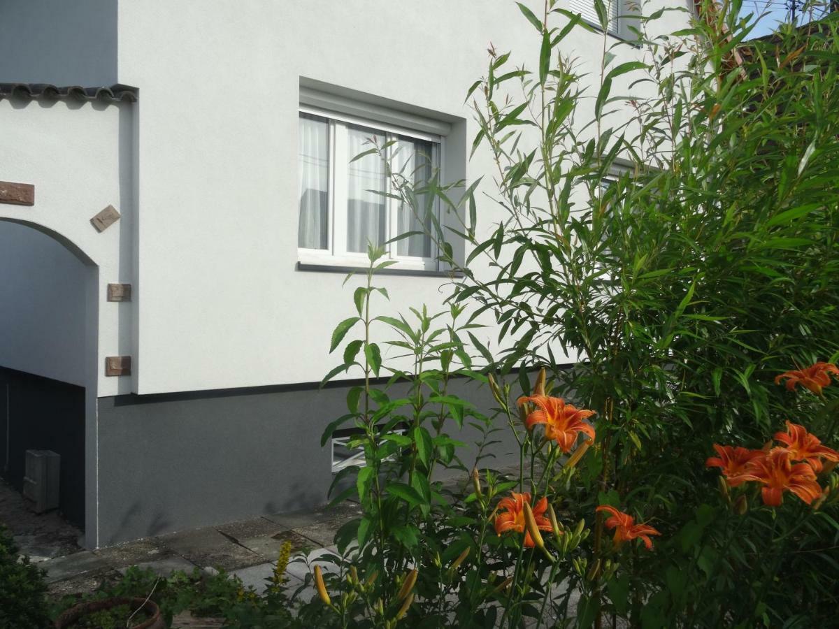 Gite Du Heron La Wantzenau Exterior photo